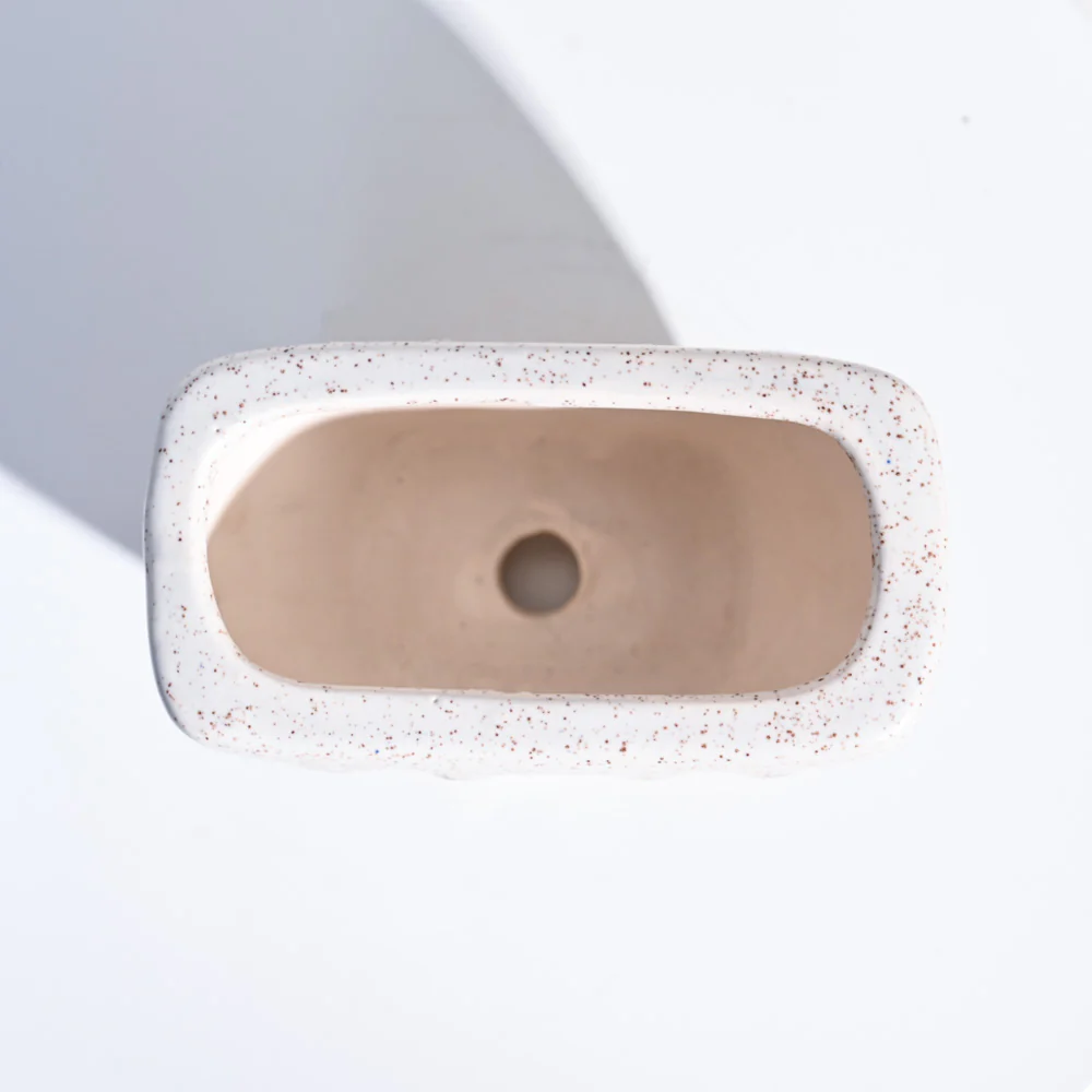 Watermelon Ceramic Planter (5.5 Inch Width) - Image 12