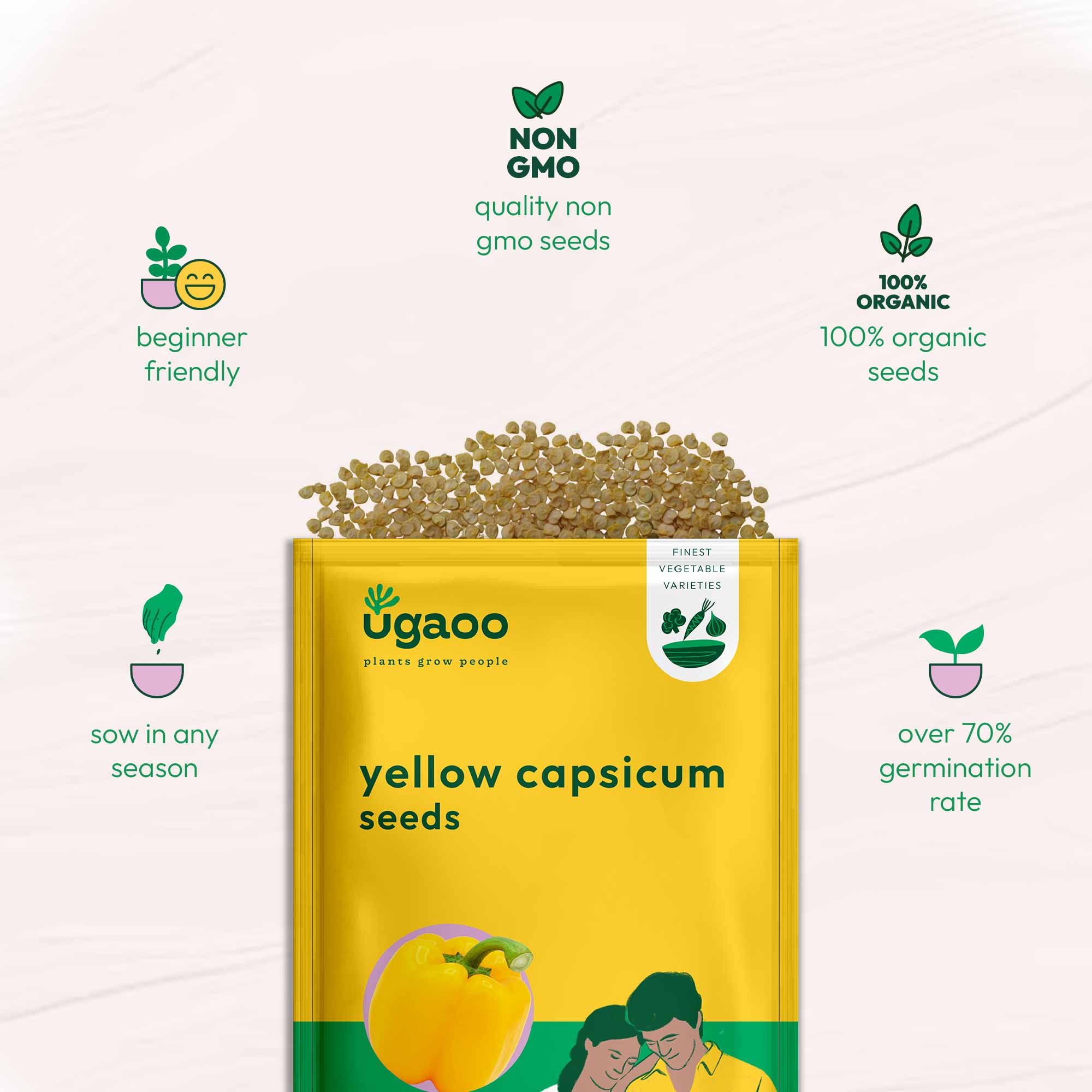 Yellow Capsicum Seeds - Image 6