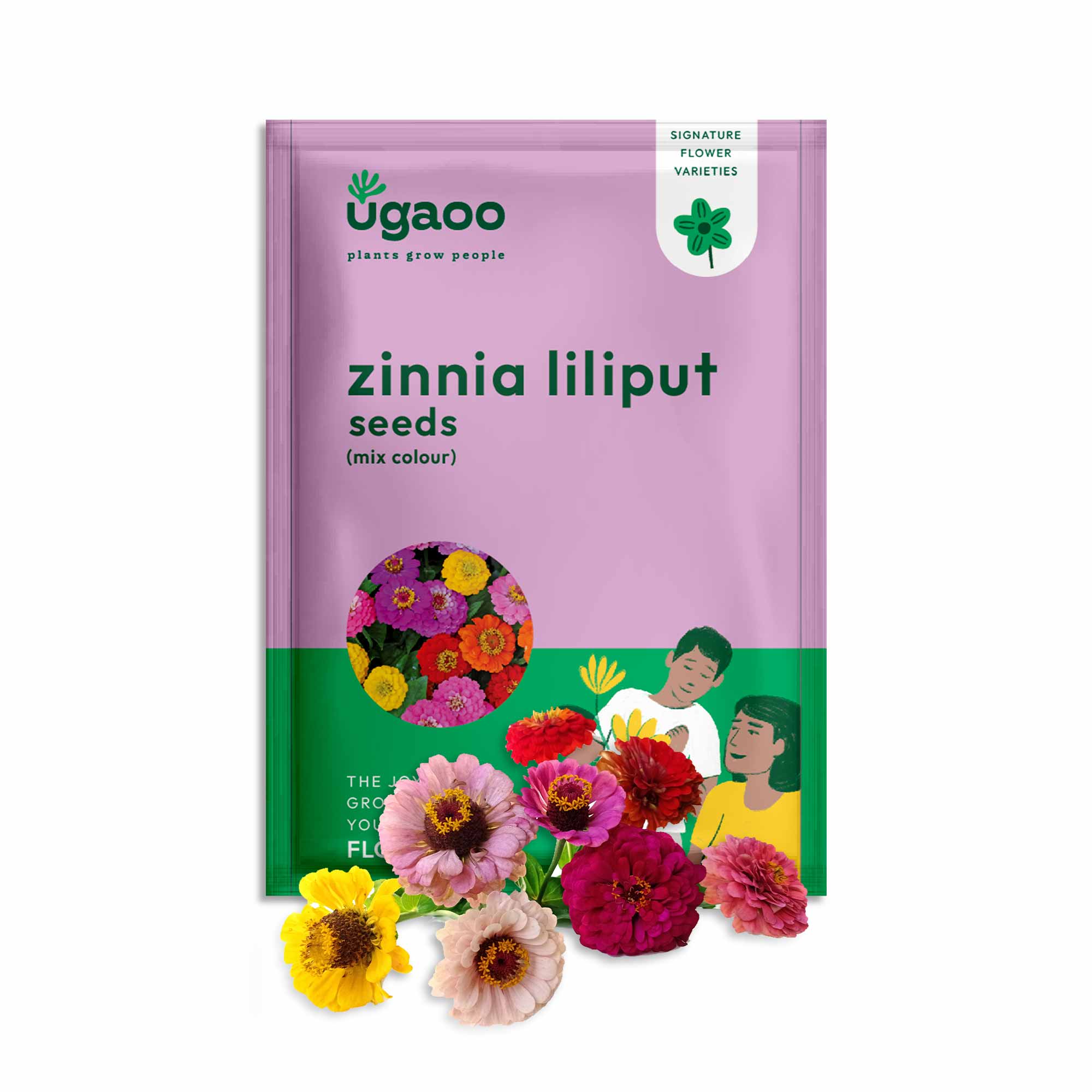 Zinnia Lilliput Mix Seeds - Image 2