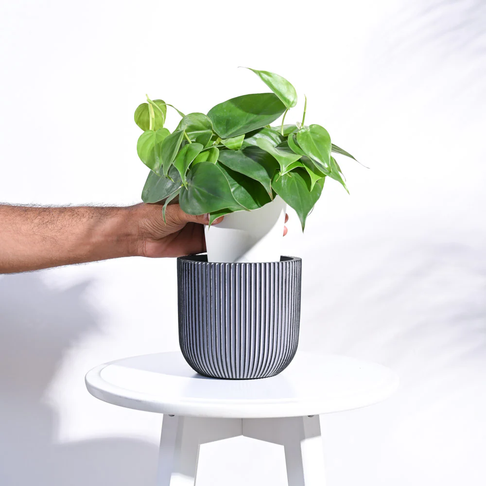 Zuri Planter Ball Groove - Image 5