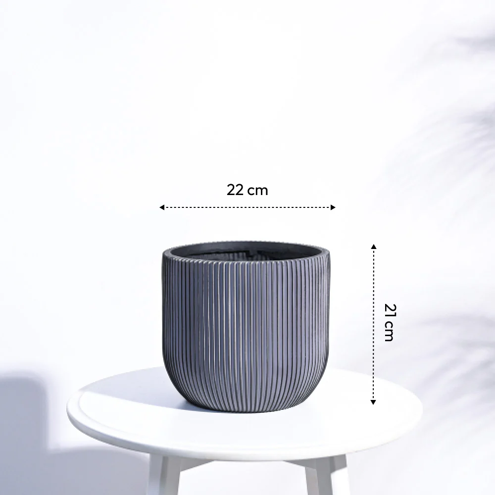 Zuri Planter Ball Groove - Image 51