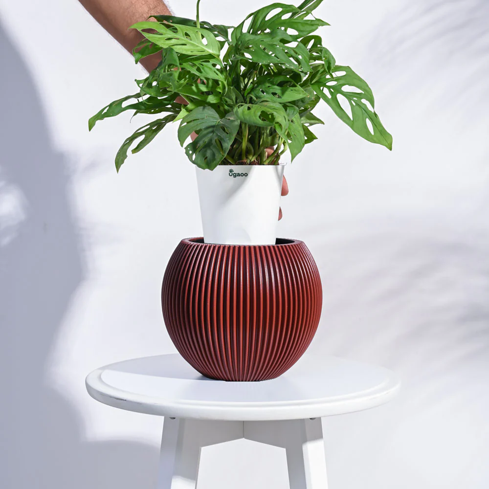 Zuri Vase Ball Groove - Image 70