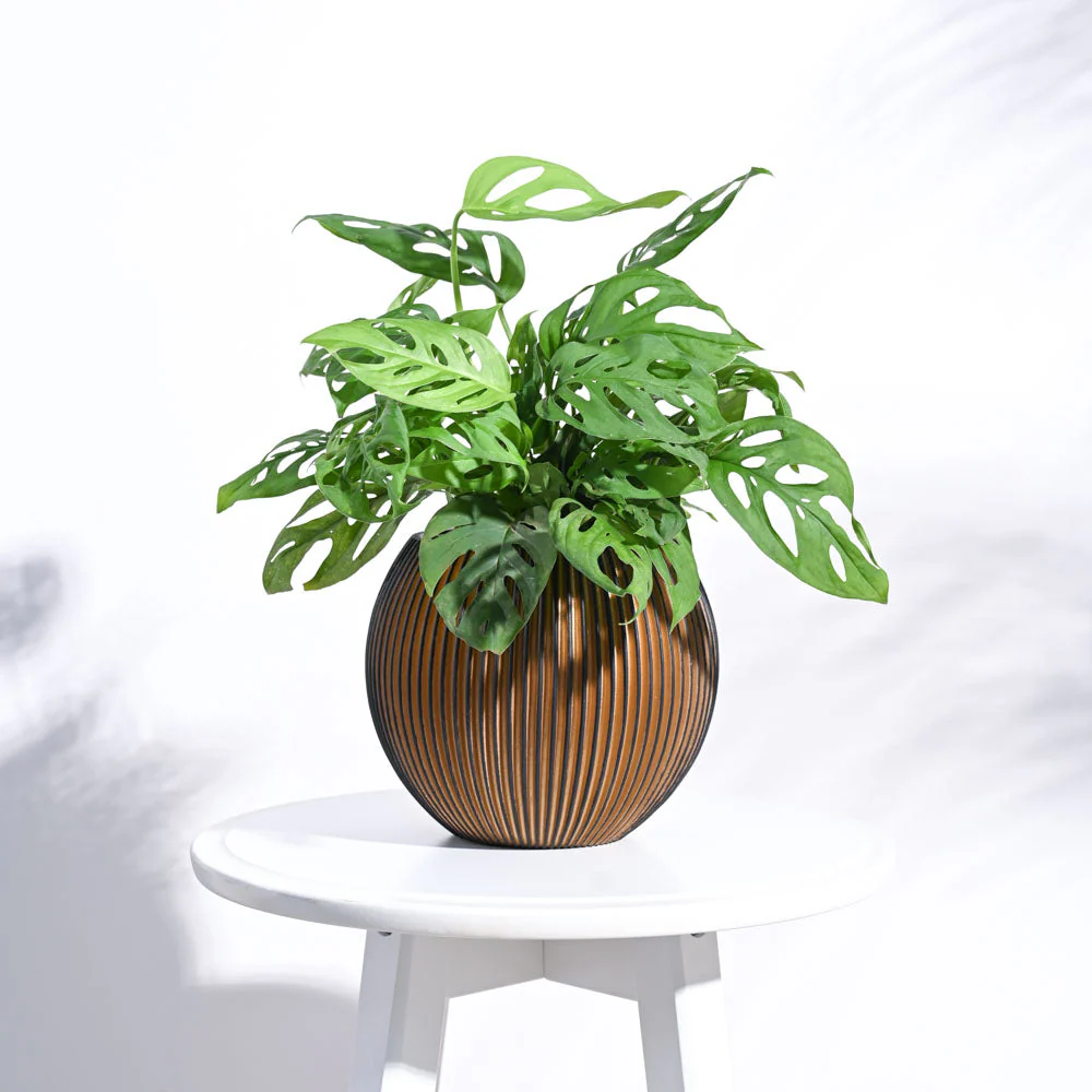 Zuri Vase Ball Groove - Image 8