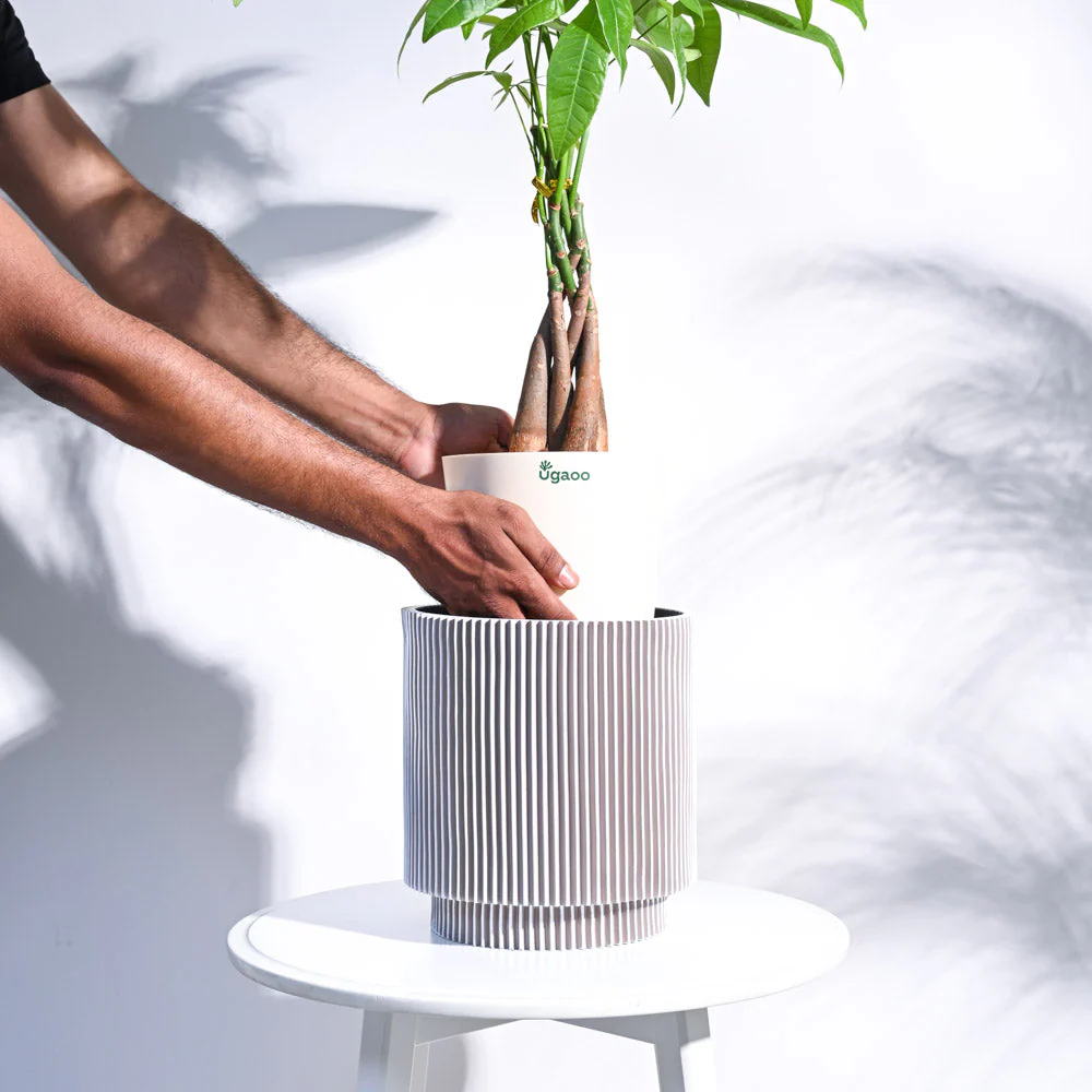 Zuri Vase Cylinder Groove - Image 19